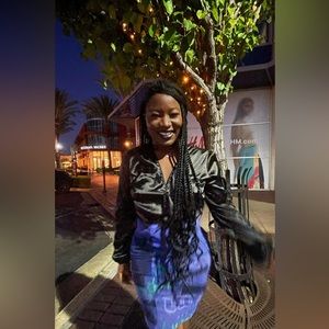 Danielle Guizio mesh Skirt